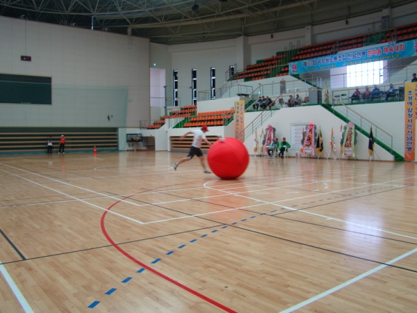 board-20120612102700-4.jpg